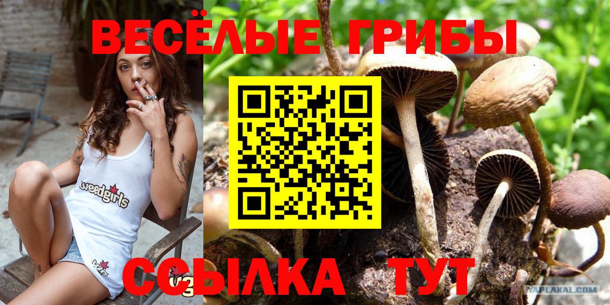 Марихуана Ессентуки