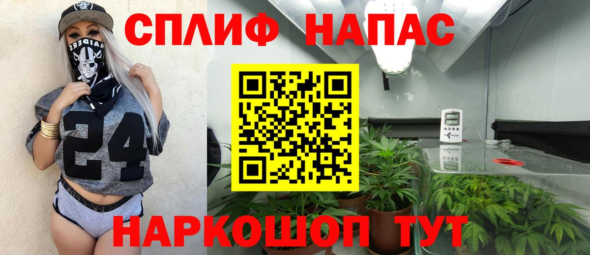 Канабис AK-47  Шишки марихуана план  Ессентуки  Канабис планчик  Вход с VPN 